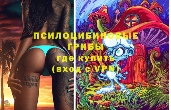 Альфа ПВП Баксан