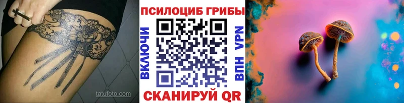 даркнет сайт  Куйбышев  Галлюциногенные грибы MAGIC MUSHROOMS 
